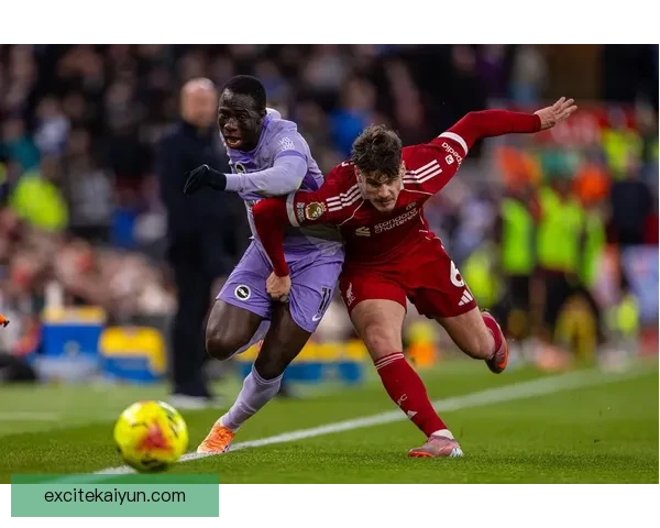 英超布莱顿近期状态回暖，力争在对阵利物浦时取得好成绩