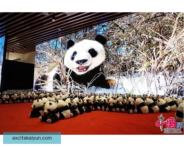 中国队转会欧洲动态持续升温，球员流入增多值得关注