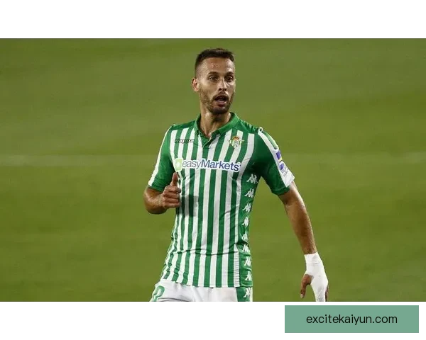 阿拉维斯关键球员近期表现稳健，助力球队竞争力增强